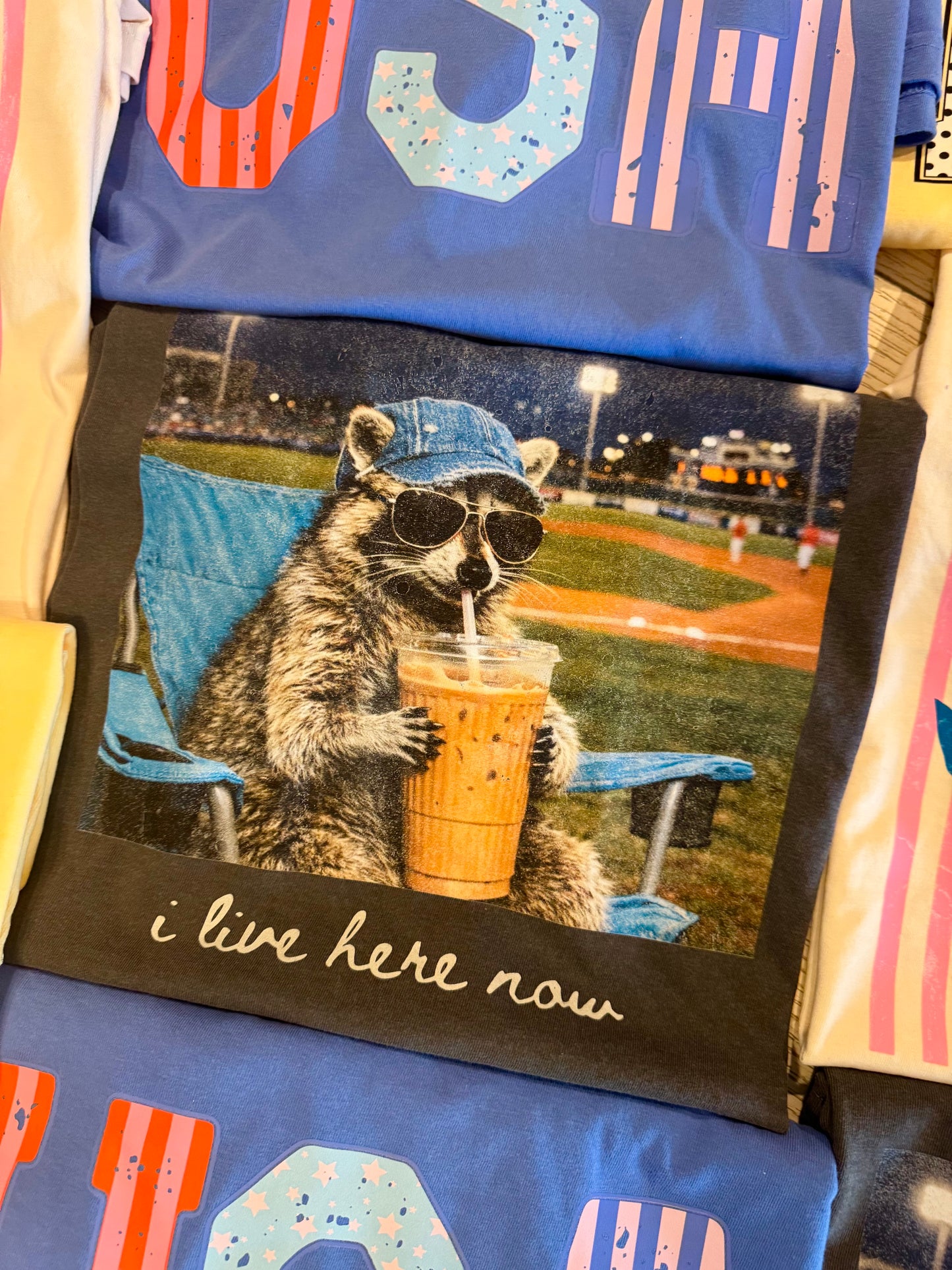 I Live Here Now Raccoon